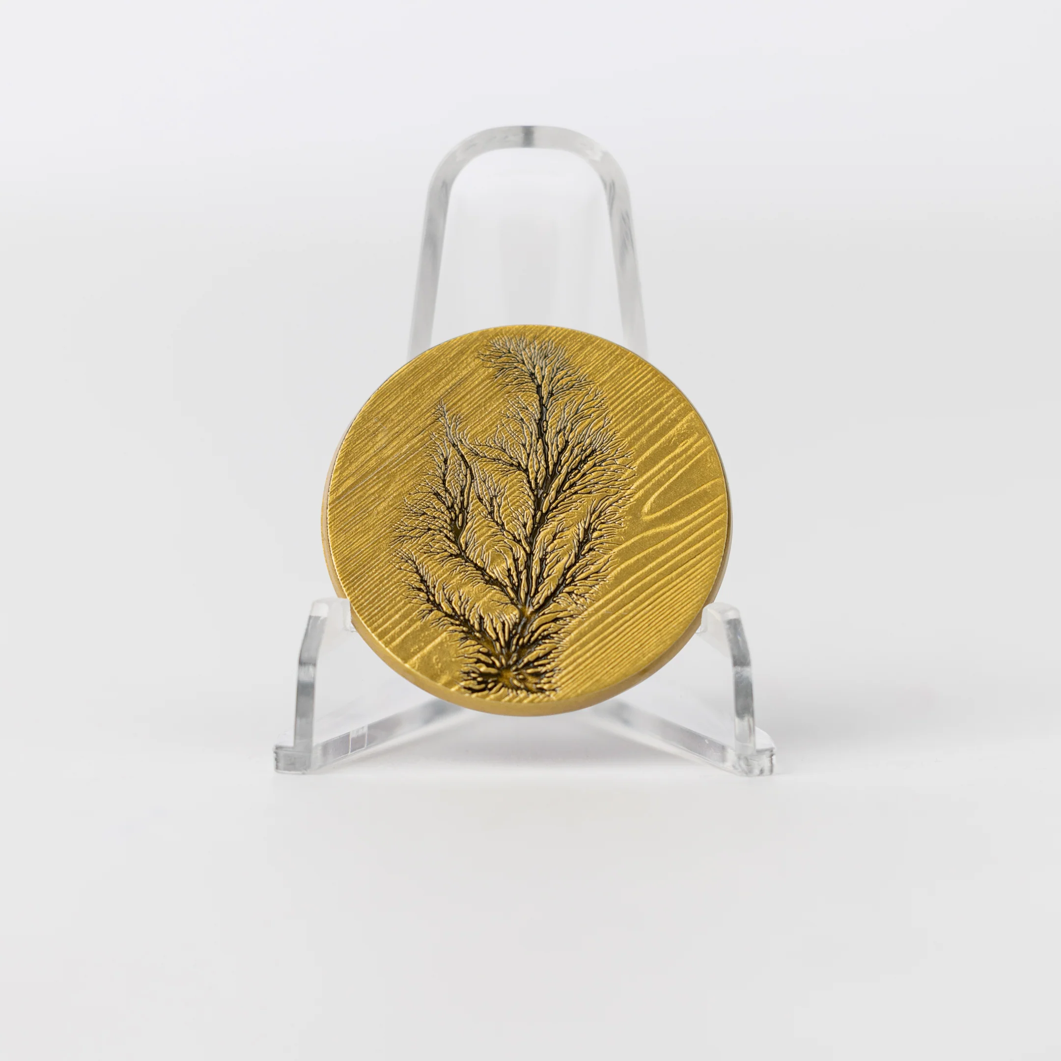 Dustbringer Ashspren Challenge Coin - Image 2